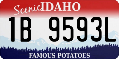 ID license plate 1B9593L