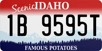 ID license plate 1B9595T