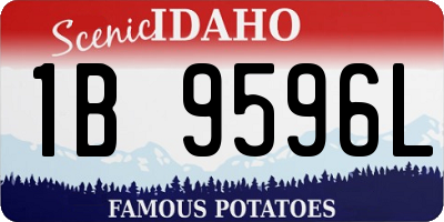 ID license plate 1B9596L