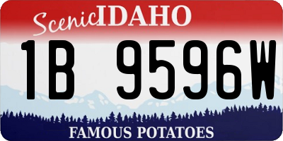 ID license plate 1B9596W