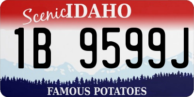 ID license plate 1B9599J