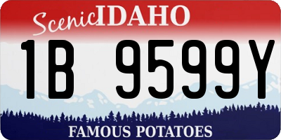 ID license plate 1B9599Y
