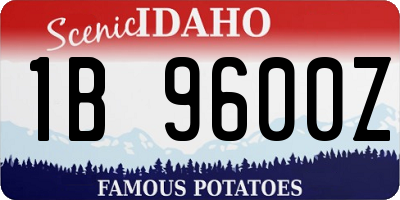 ID license plate 1B9600Z