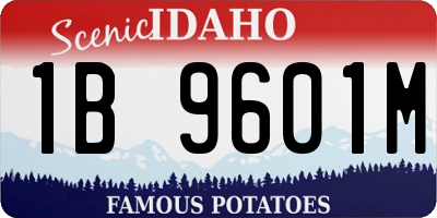 ID license plate 1B9601M