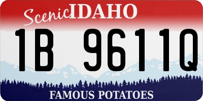 ID license plate 1B9611Q