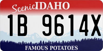 ID license plate 1B9614X