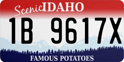 ID license plate 1B9617X