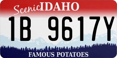 ID license plate 1B9617Y