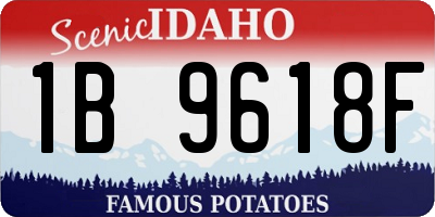 ID license plate 1B9618F