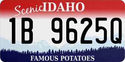 ID license plate 1B9625Q