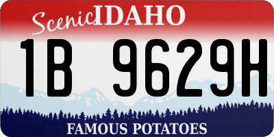 ID license plate 1B9629H