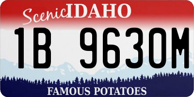 ID license plate 1B9630M