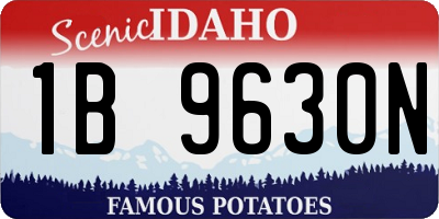 ID license plate 1B9630N