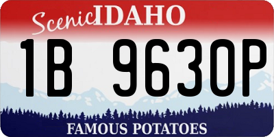 ID license plate 1B9630P