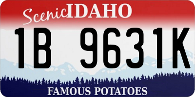 ID license plate 1B9631K
