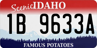 ID license plate 1B9633A
