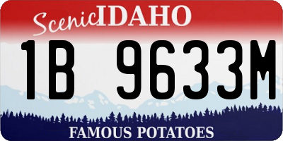 ID license plate 1B9633M