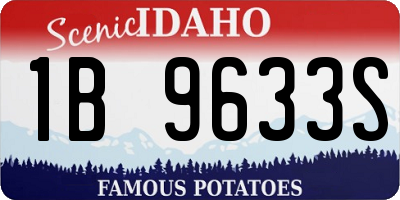 ID license plate 1B9633S
