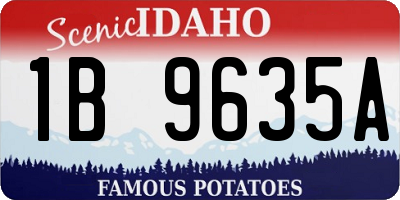 ID license plate 1B9635A