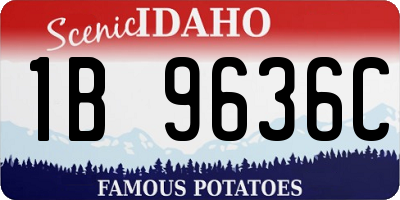 ID license plate 1B9636C