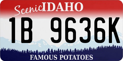 ID license plate 1B9636K