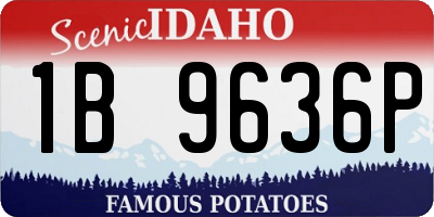 ID license plate 1B9636P