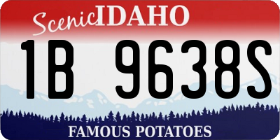 ID license plate 1B9638S