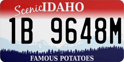 ID license plate 1B9648M