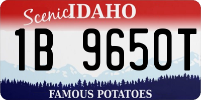 ID license plate 1B9650T