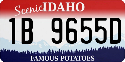ID license plate 1B9655D