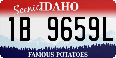 ID license plate 1B9659L