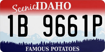 ID license plate 1B9661P