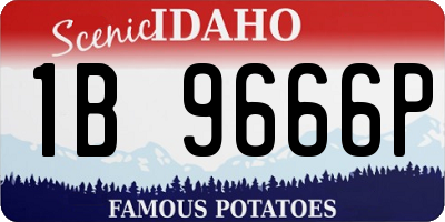 ID license plate 1B9666P