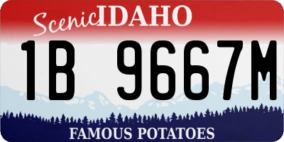 ID license plate 1B9667M
