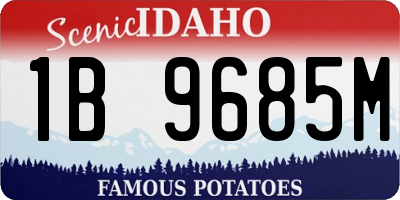 ID license plate 1B9685M