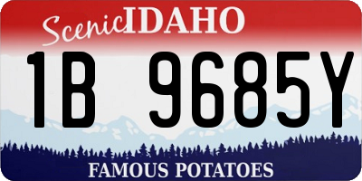ID license plate 1B9685Y