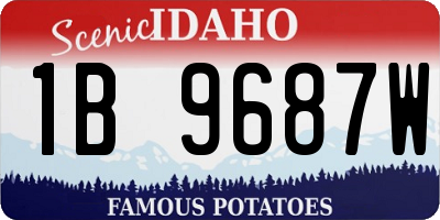 ID license plate 1B9687W