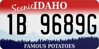 ID license plate 1B9689G