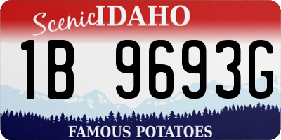 ID license plate 1B9693G