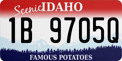ID license plate 1B9705Q
