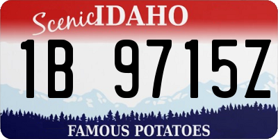 ID license plate 1B9715Z