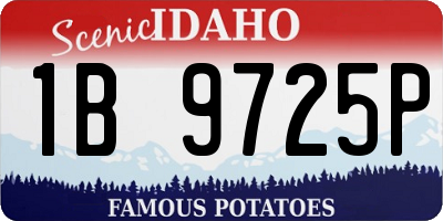 ID license plate 1B9725P