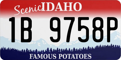 ID license plate 1B9758P