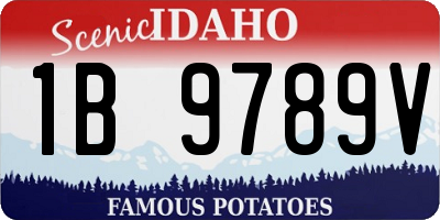 ID license plate 1B9789V