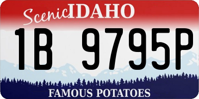 ID license plate 1B9795P