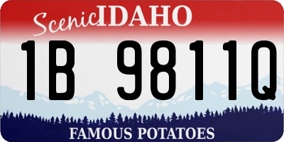 ID license plate 1B9811Q