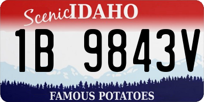 ID license plate 1B9843V