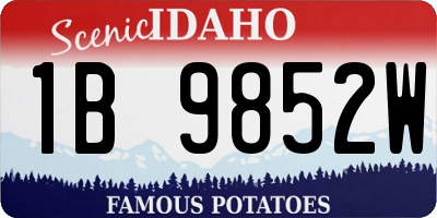 ID license plate 1B9852W