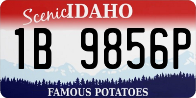 ID license plate 1B9856P
