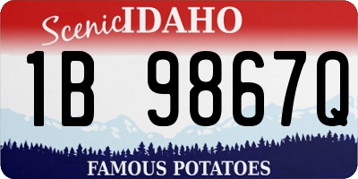 ID license plate 1B9867Q
